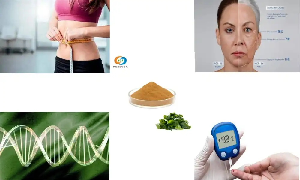 How does fucoxanthin impact metabolic health?